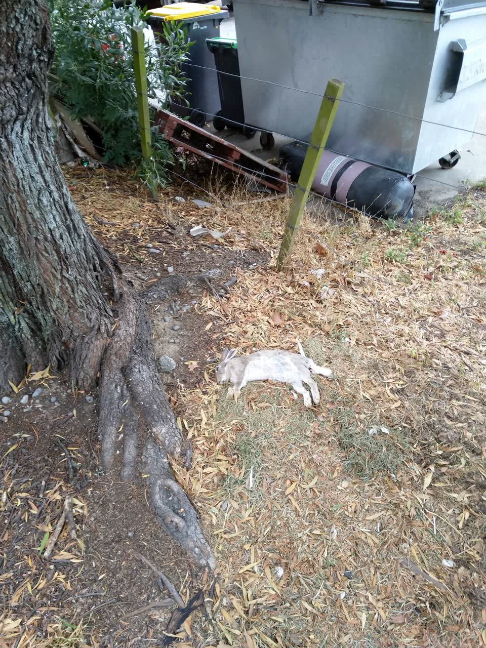 The photograph attached to this parks report