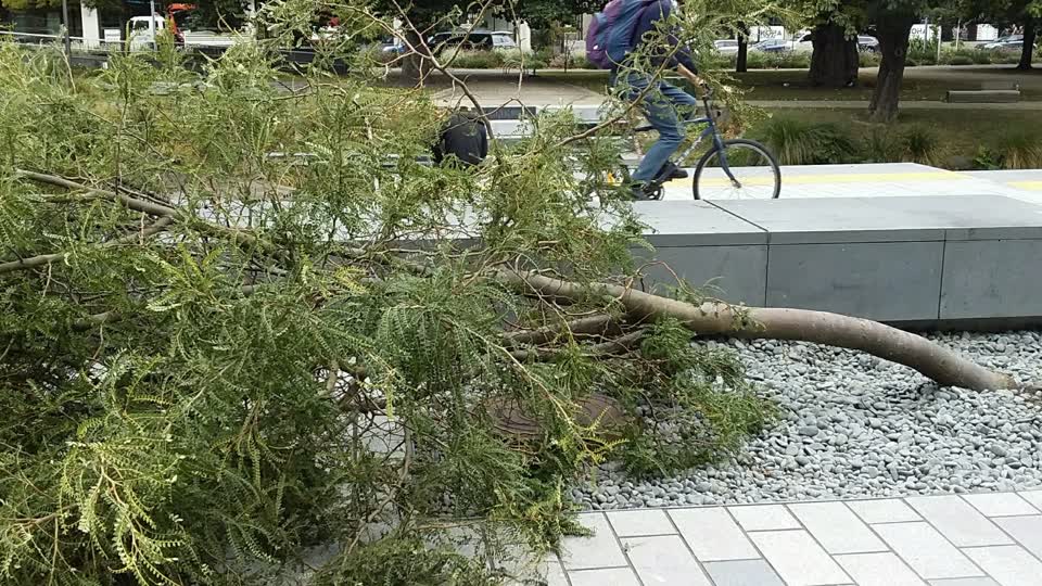 The photograph attached to this parks report