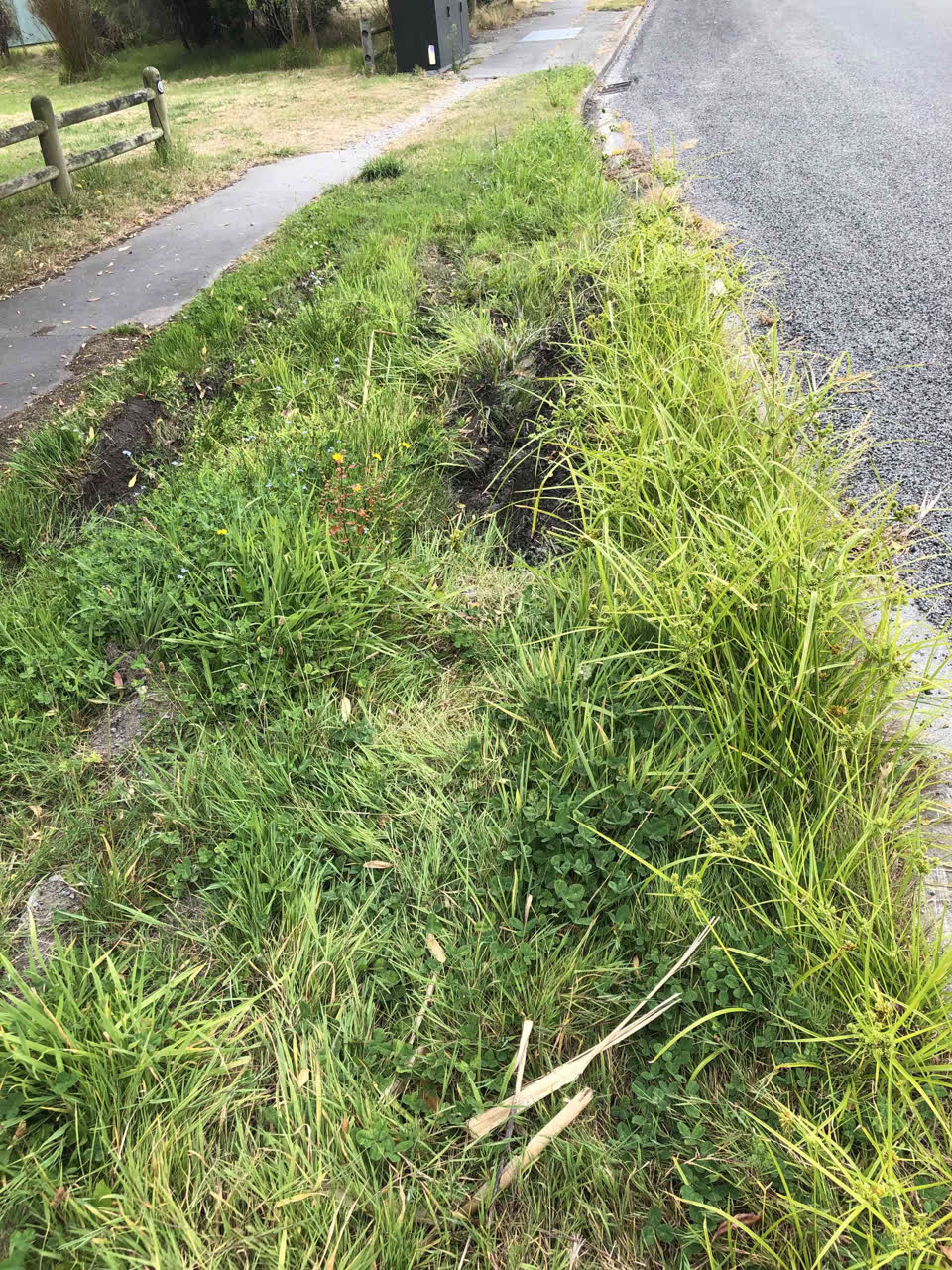 The photograph attached to this roading/streets report
