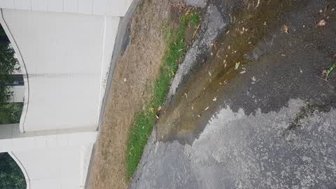 Water Leak, a report photo