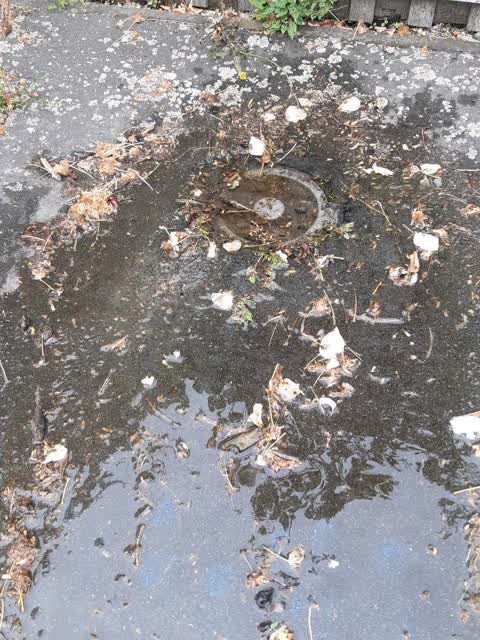 Water Leak, a report photo