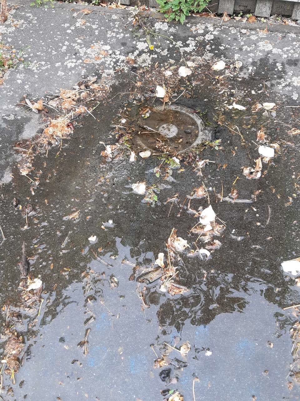 The photograph attached to this water leak report