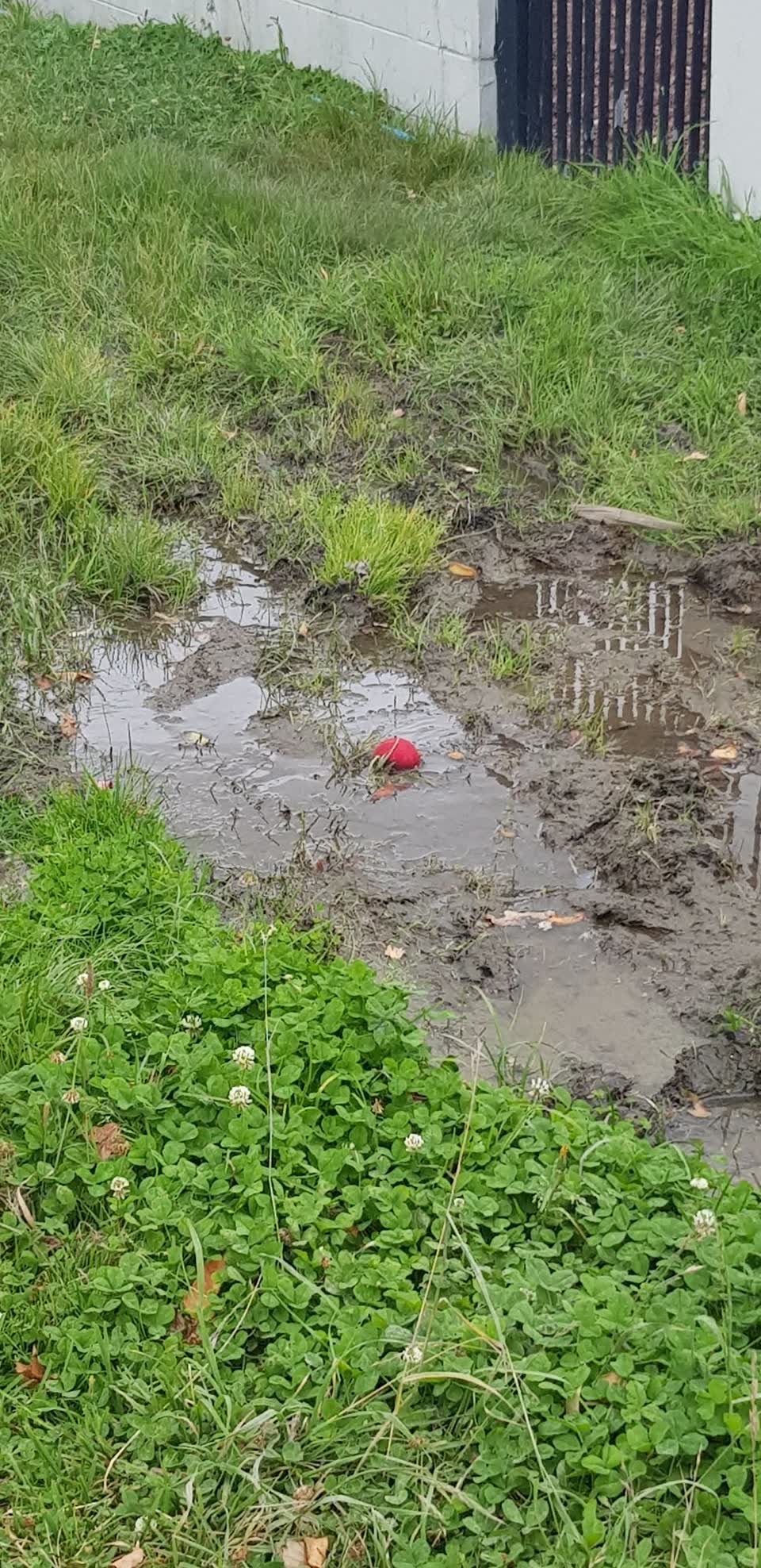 The photograph attached to this water leak report
