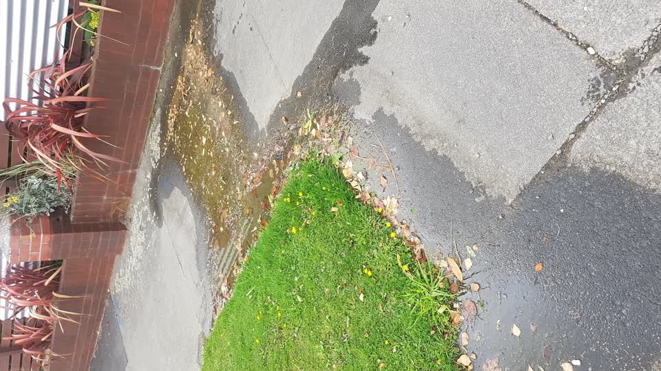 The photograph attached to this water leak report
