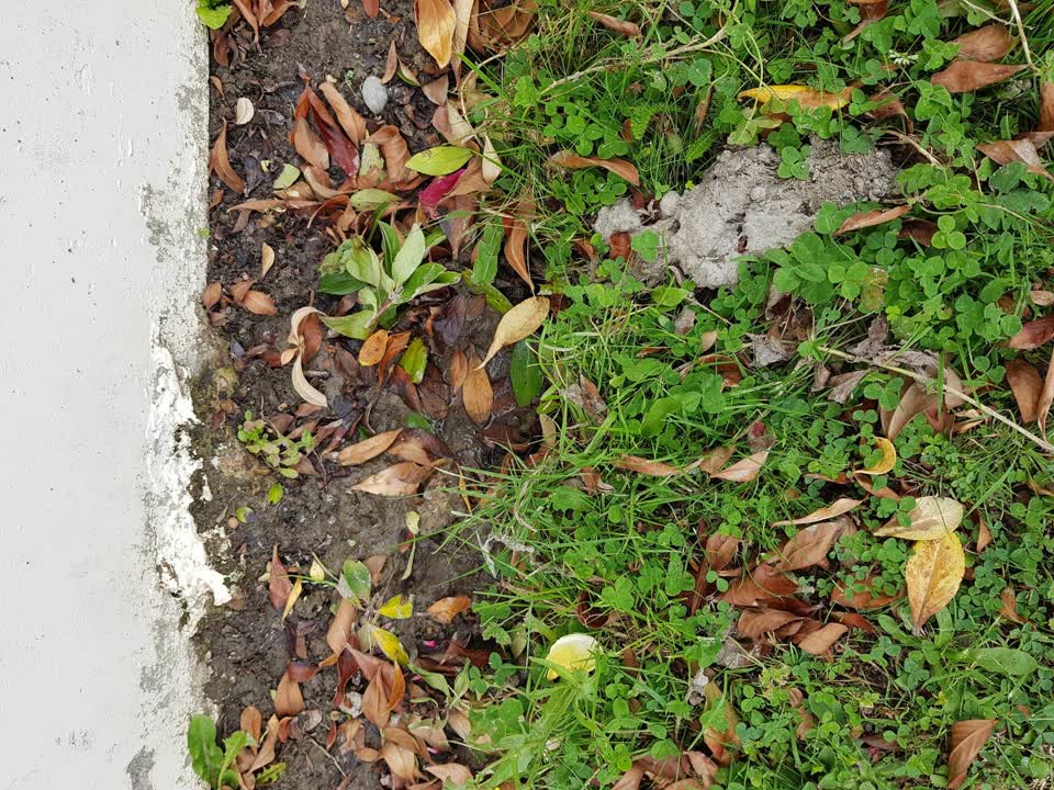 The photograph attached to this water leak report