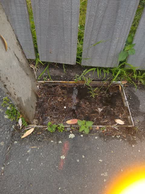 Water Leak, a report photo