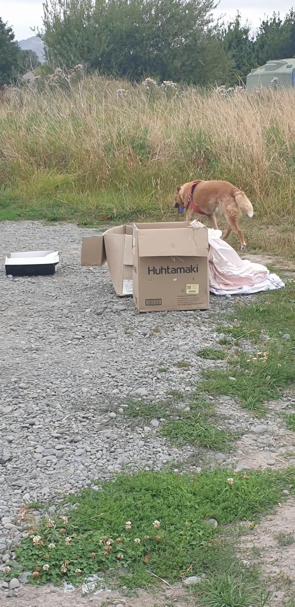 The photograph attached to this rubbish/recycling report