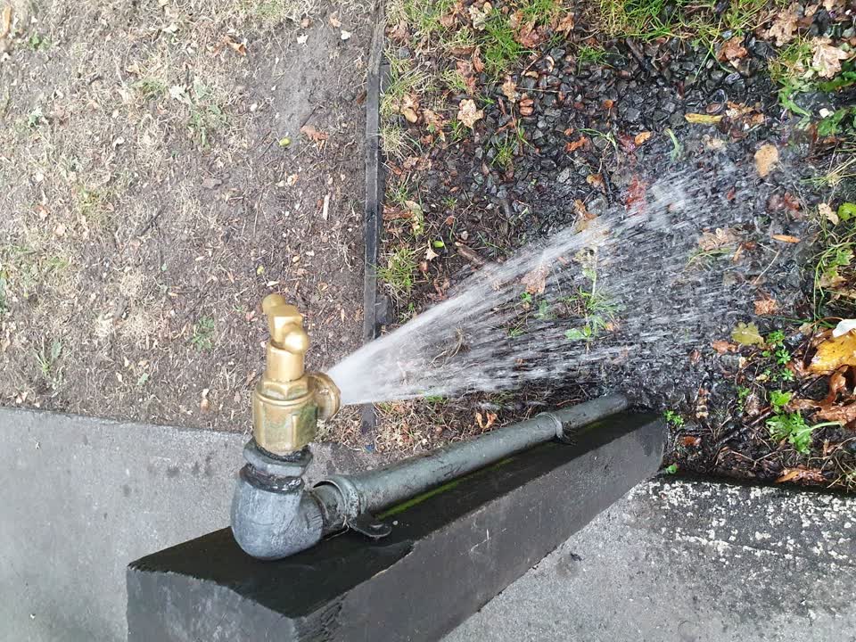 The photograph attached to this parks report