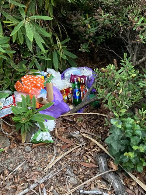 Rubbish/Recycling, a report photo