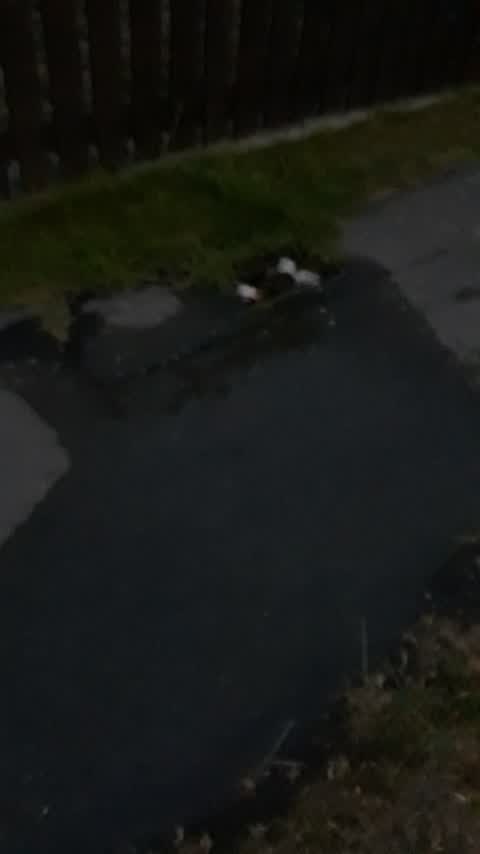 Water Leak, a report photo