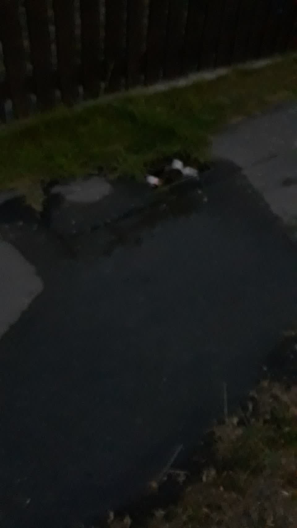 The photograph attached to this water leak report