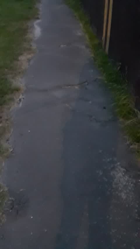 Roading/Streets, a report photo