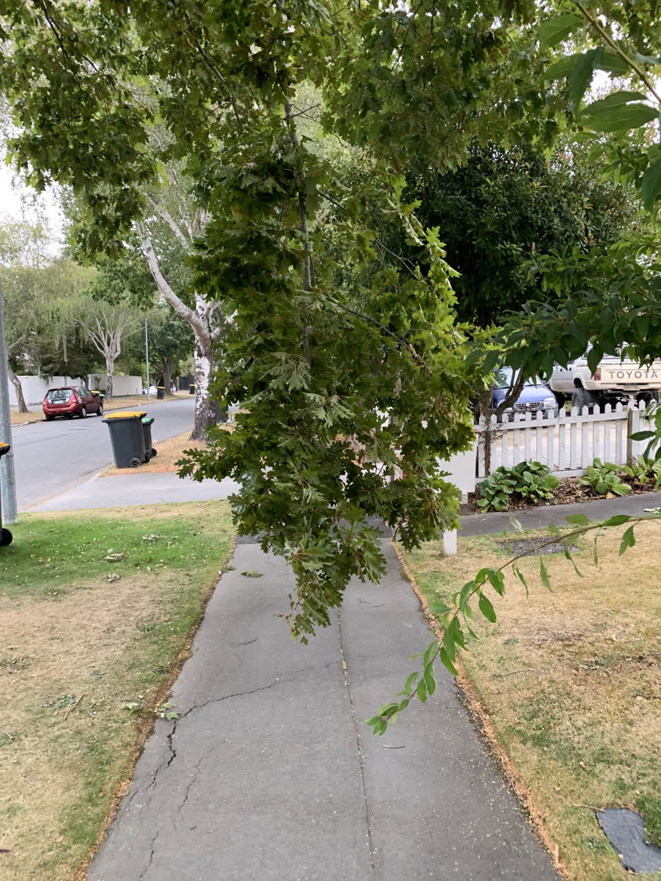 The photograph attached to this roading/streets report