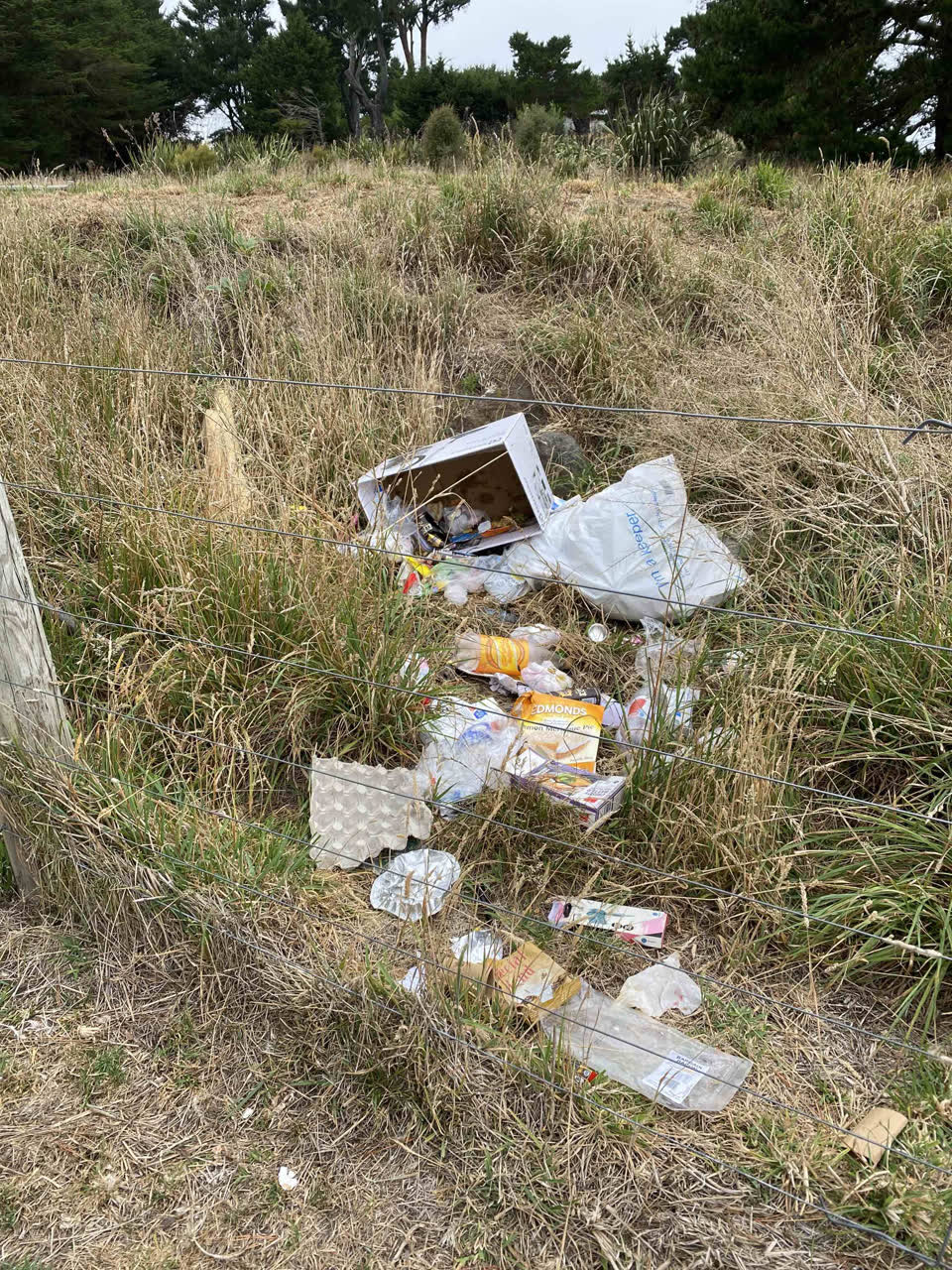 The photograph attached to this rubbish/recycling report