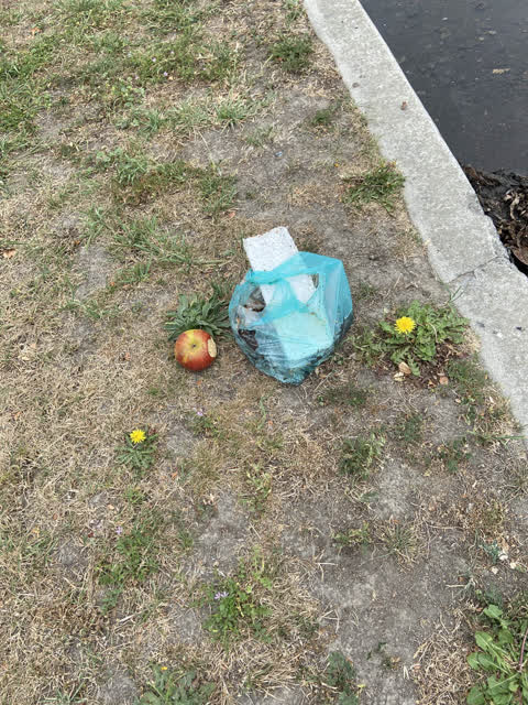 Rubbish/Recycling, a report photo