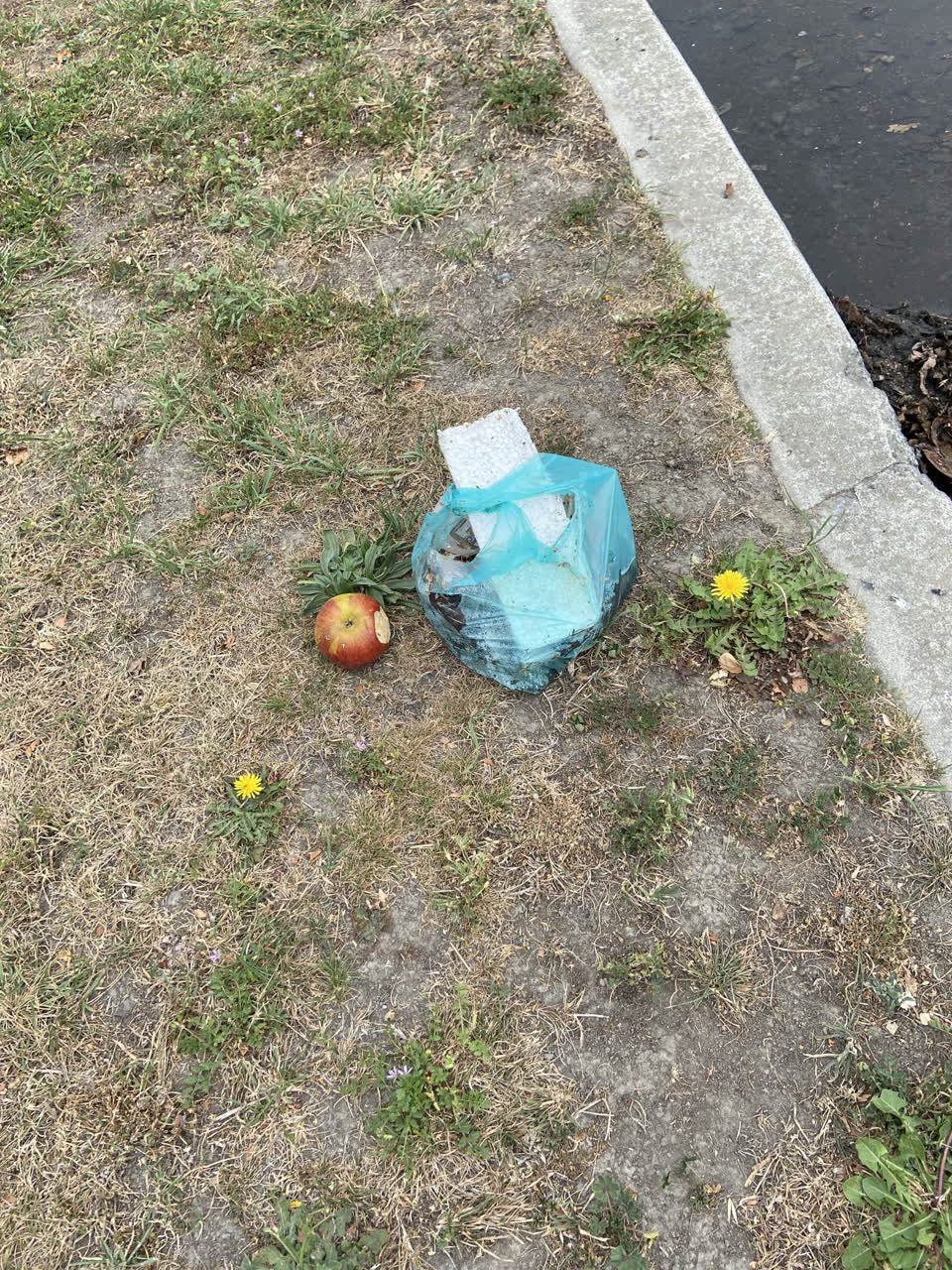 The photograph attached to this rubbish/recycling report