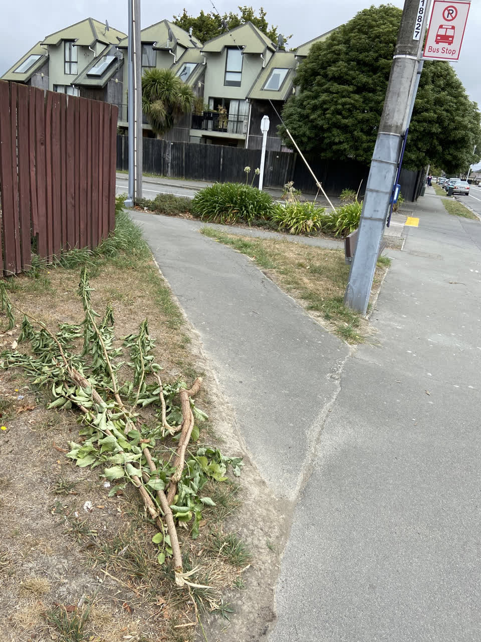 The photograph attached to this roading/streets report