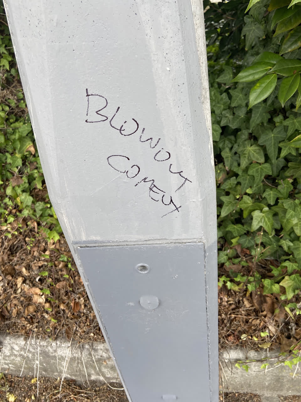 The photograph attached to this graffiti report