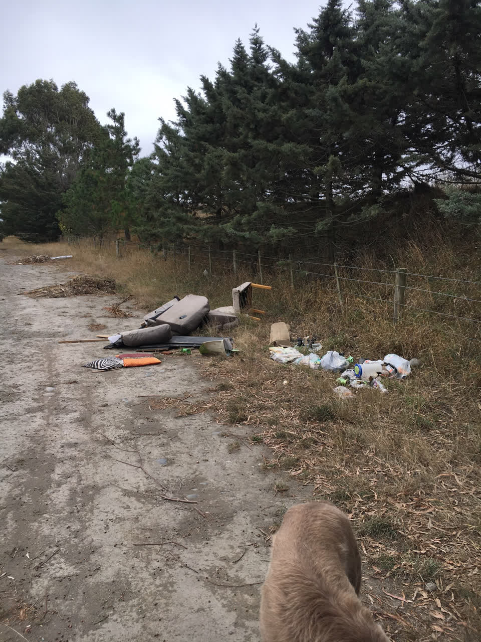 The photograph attached to this rubbish/recycling report