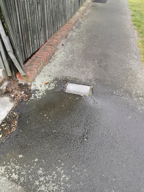 Water Leak, a report photo