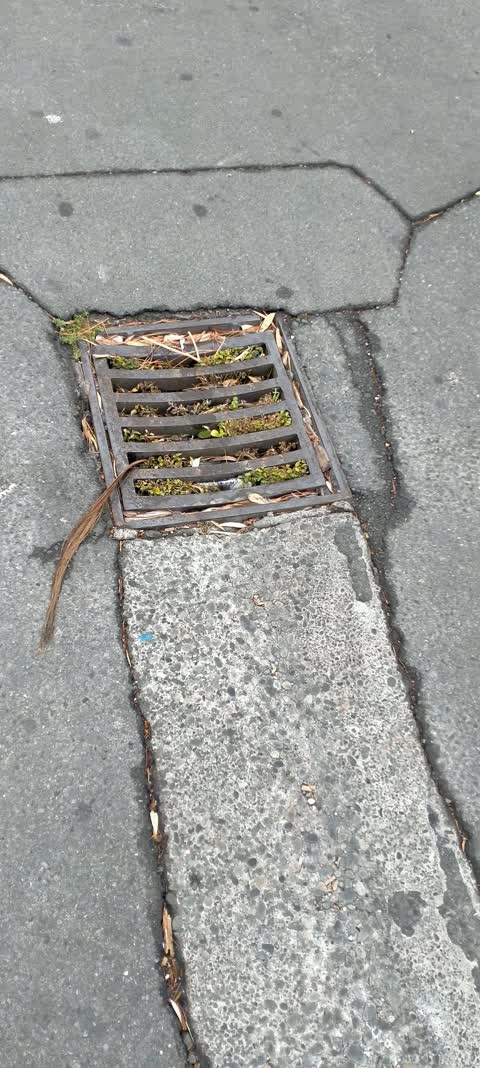 Sewer - Leak / Blockage, a report photo