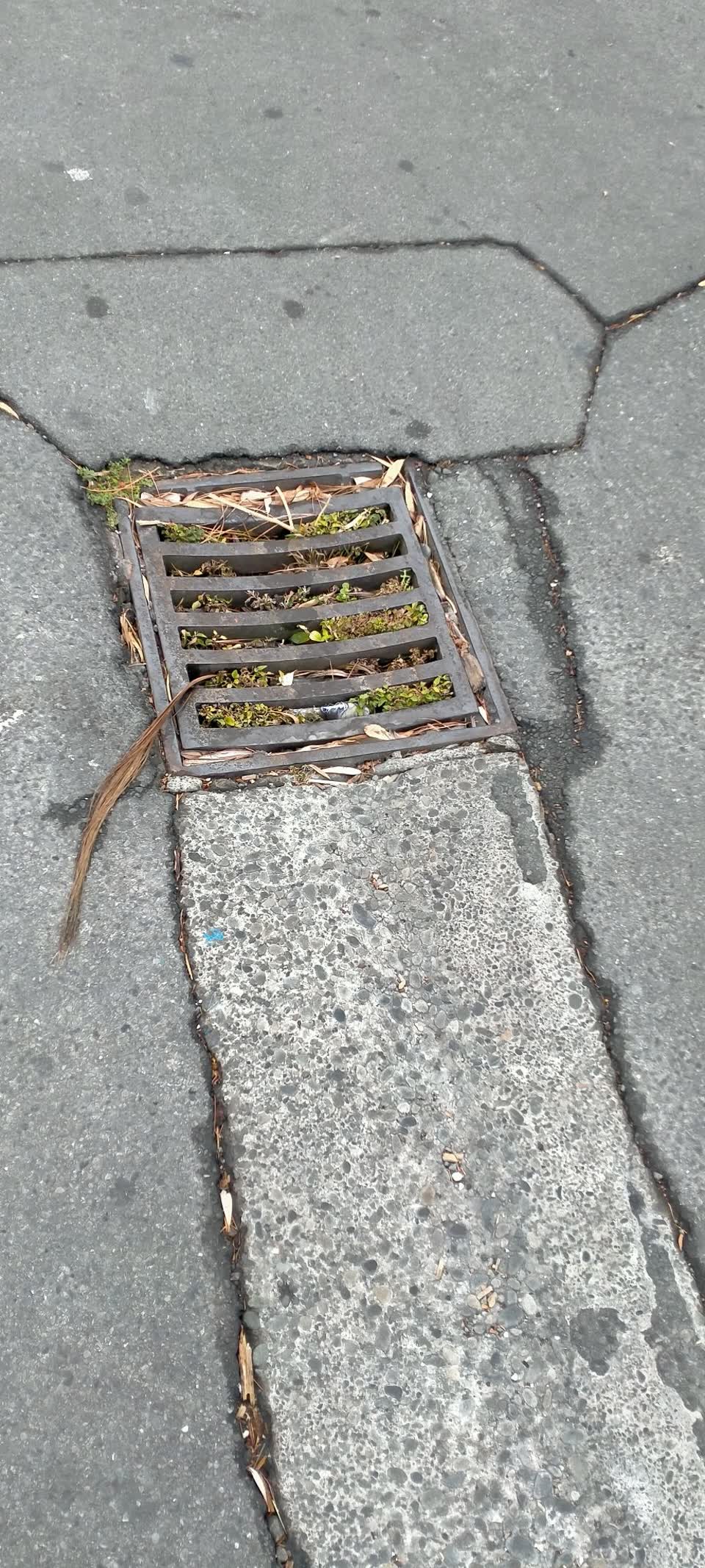 The photograph attached to this sewer - leak / blockage report