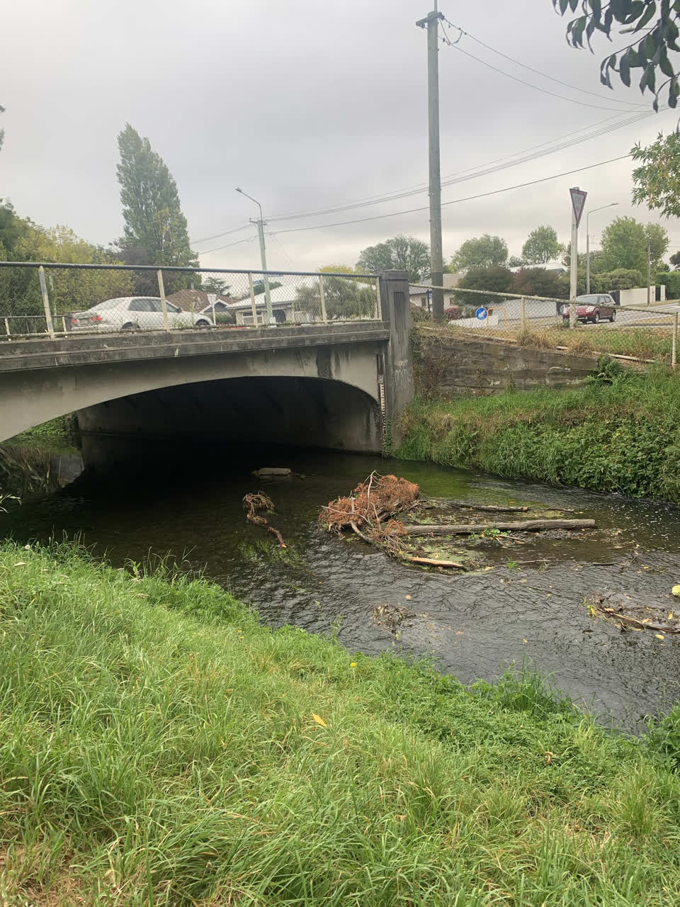 The photograph attached to this parks report