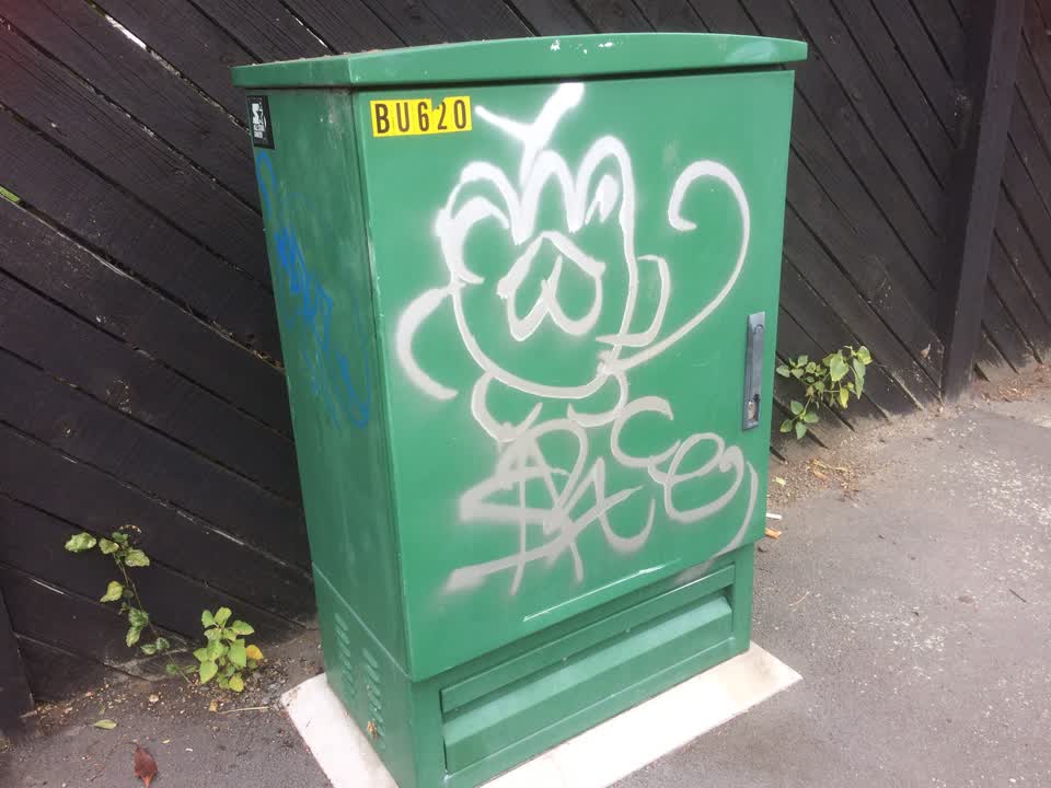 The photograph attached to this graffiti report