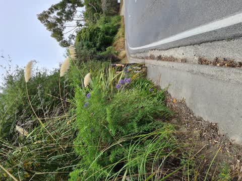 Roading/Streets, a report photo