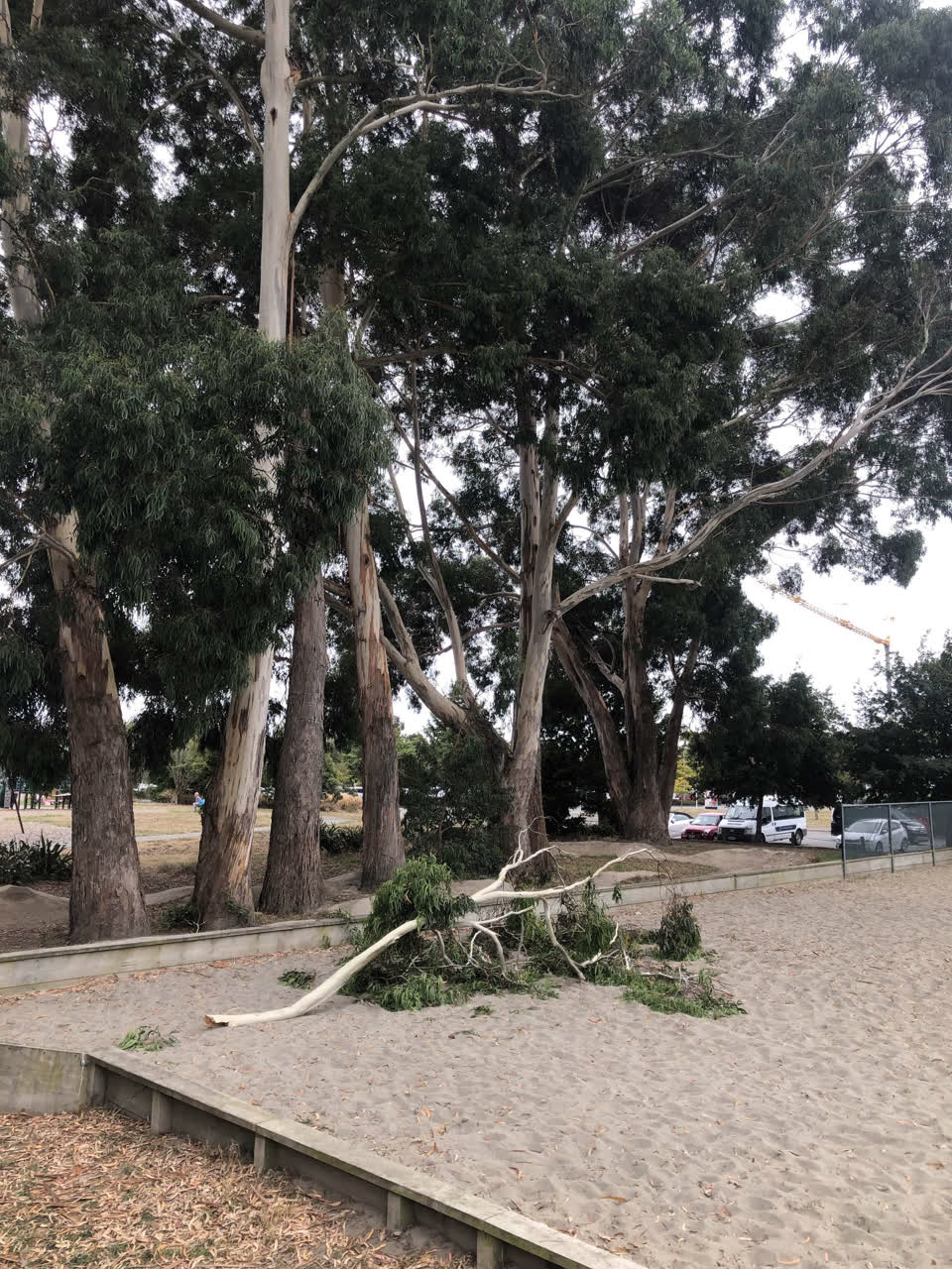 The photograph attached to this parks report