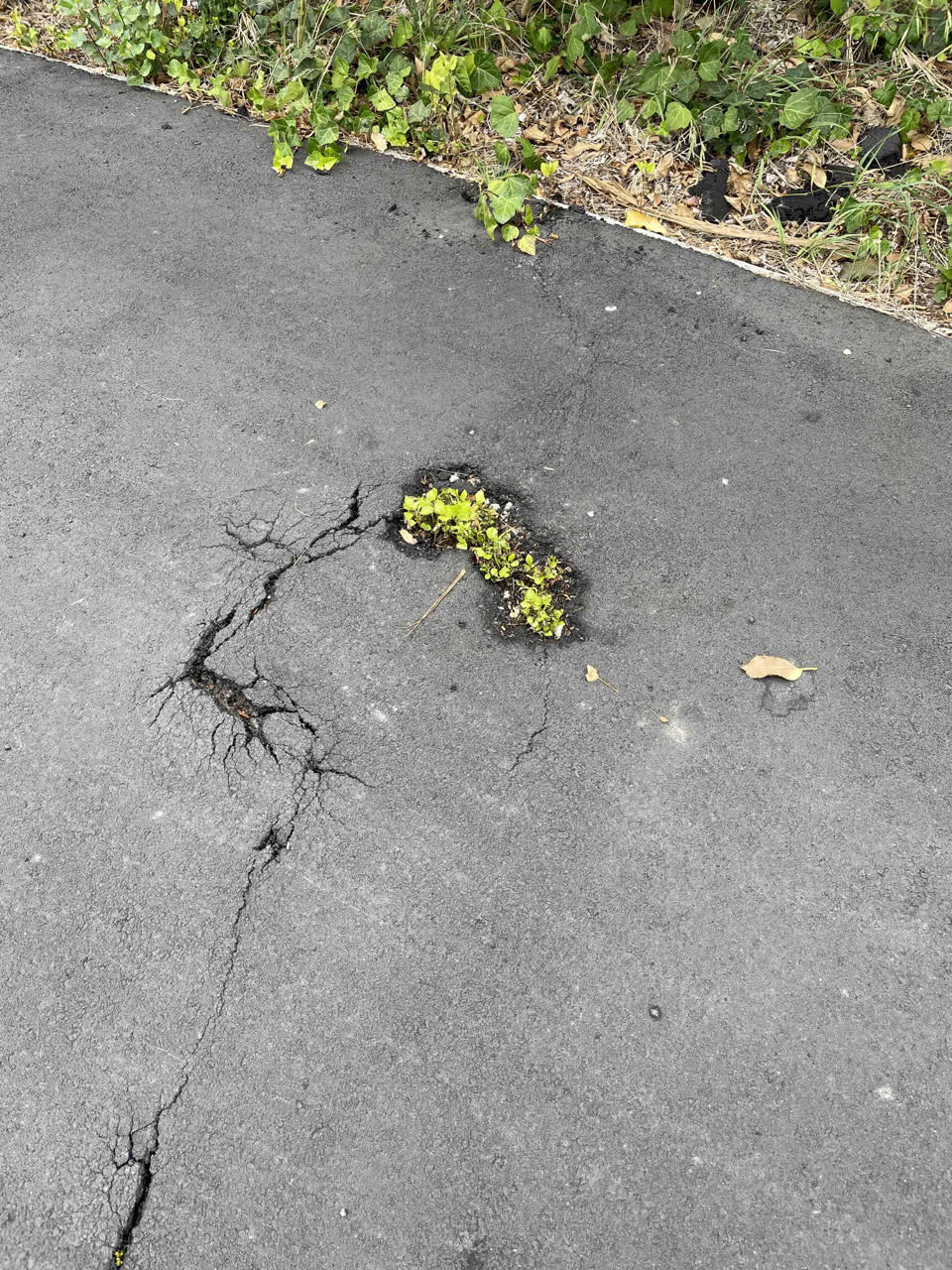 The photograph attached to this roading/streets report
