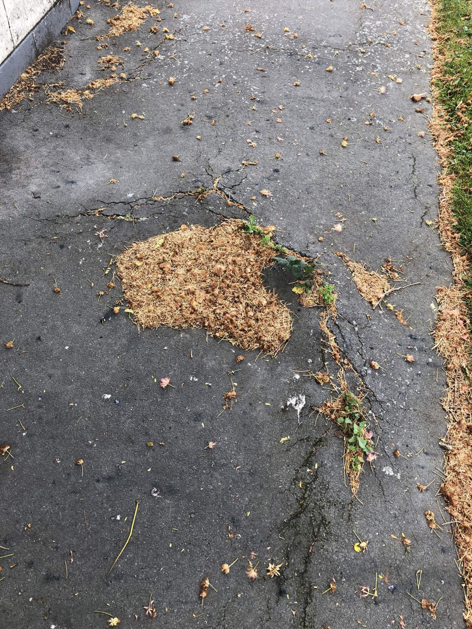 The photograph attached to this roading/streets report