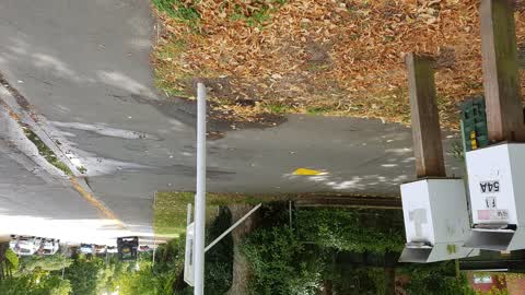 Water Leak, a report photo