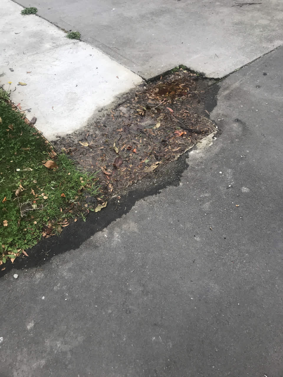 The photograph attached to this water leak report