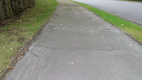 Roading/Streets, a report photo