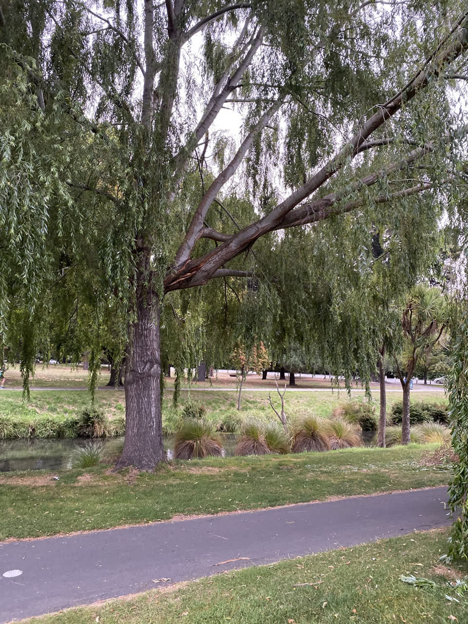 The photograph attached to this parks report