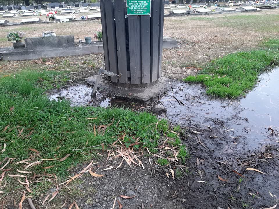 The photograph attached to this parks report