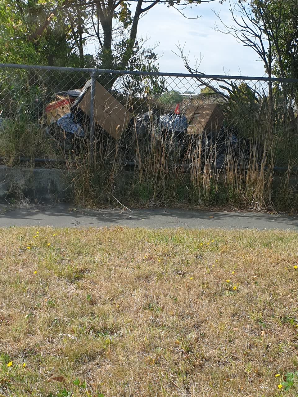 The photograph attached to this rubbish/recycling report