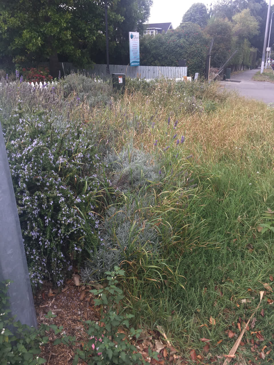 The photograph attached to this parks report