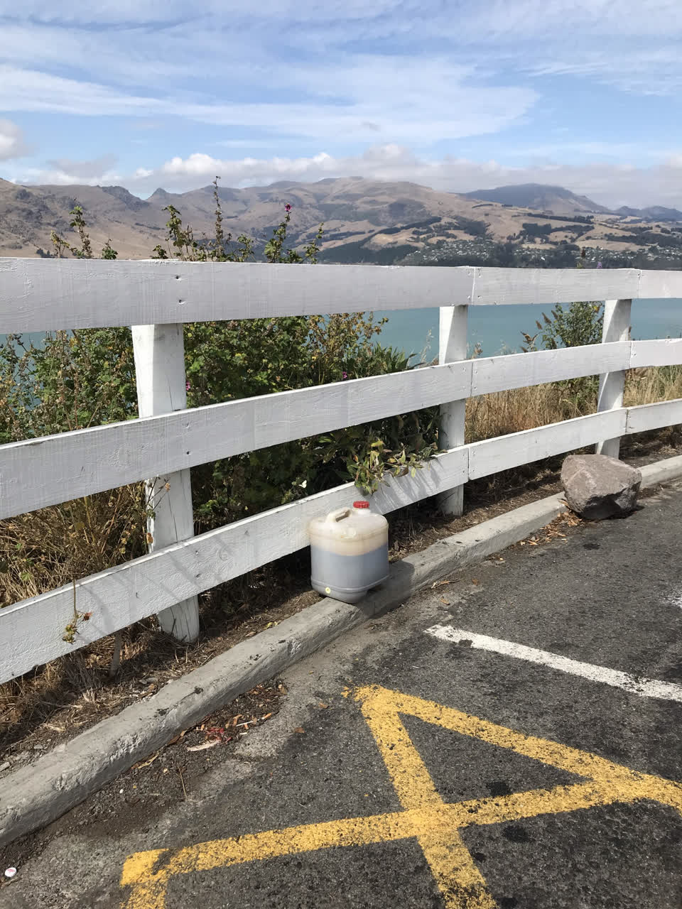 The photograph attached to this parks report