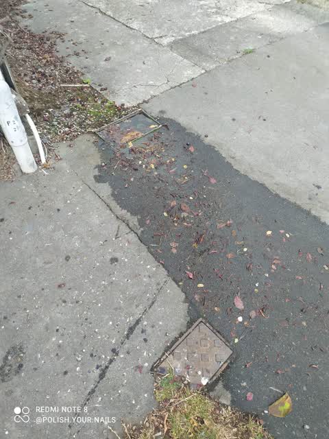 Water Leak, a report photo