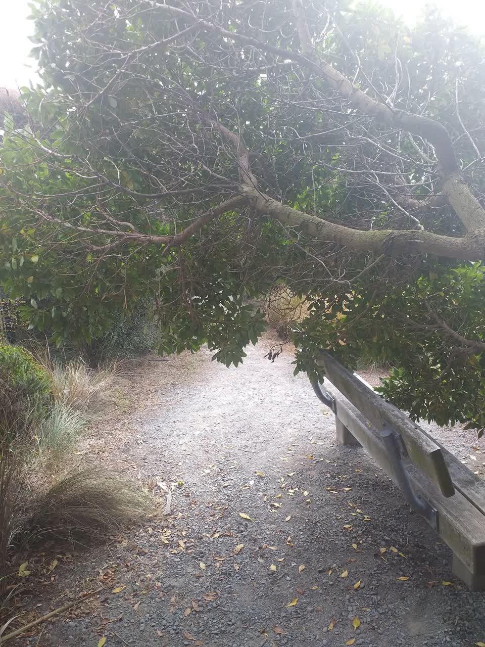 The photograph attached to this parks report