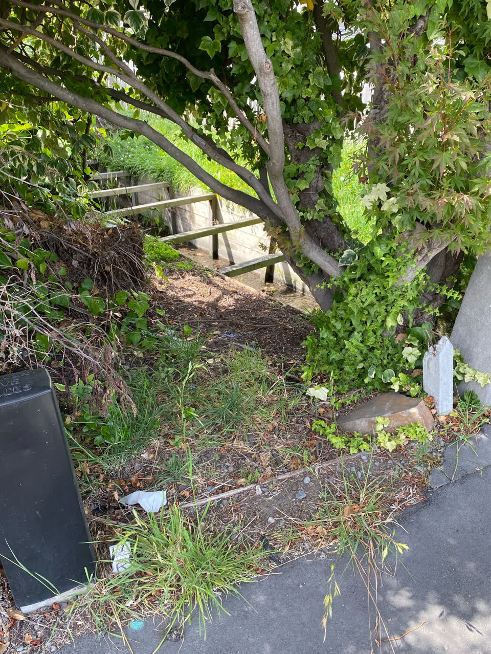 The photograph attached to this roading/streets report