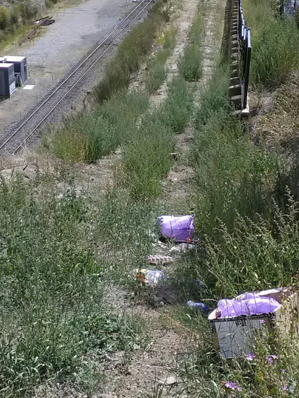 The photograph attached to this rubbish/recycling report