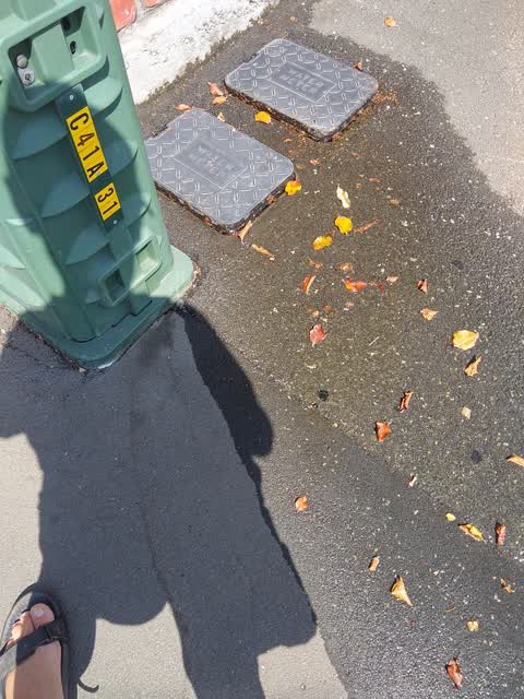 Water Leak, a report photo