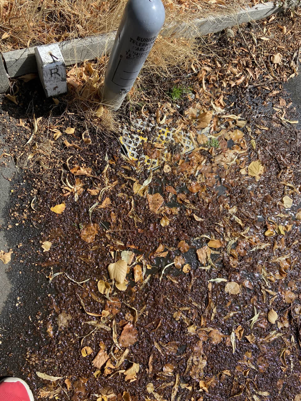 The photograph attached to this water leak report