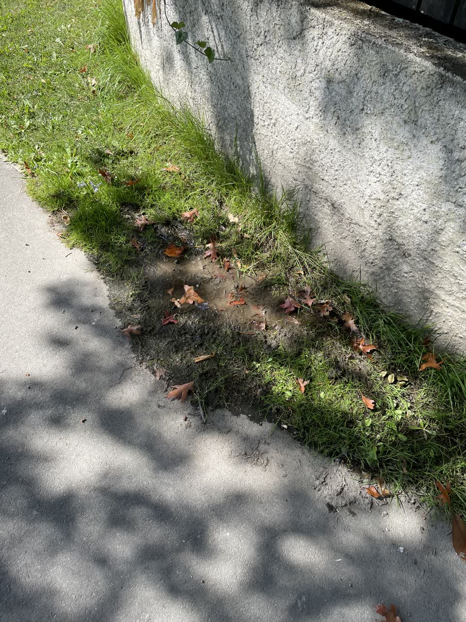 The photograph attached to this water leak report