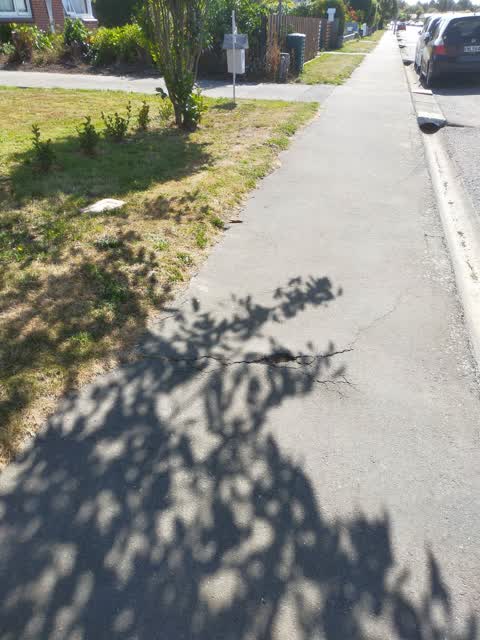 Roading/Streets, a report photo