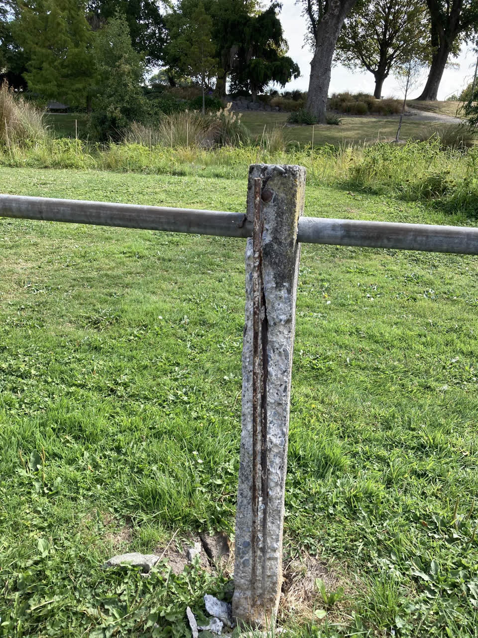 The photograph attached to this parks report