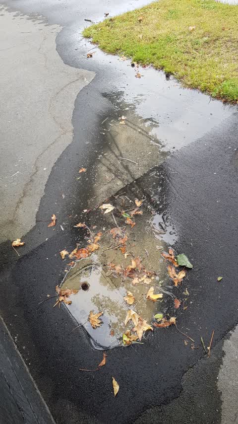 Water Leak, a report photo